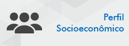 Perfil Socioeconômico Perfil Socioeconômico