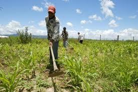 Secretaria de Agricultura de Queimadas inicia entrega do boleto do Garantia Safra 2017/2018