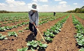 Secretaria de Agricultura de Queimadas realiza evento alusivo ao Dia do Agricultor; confira a programação 