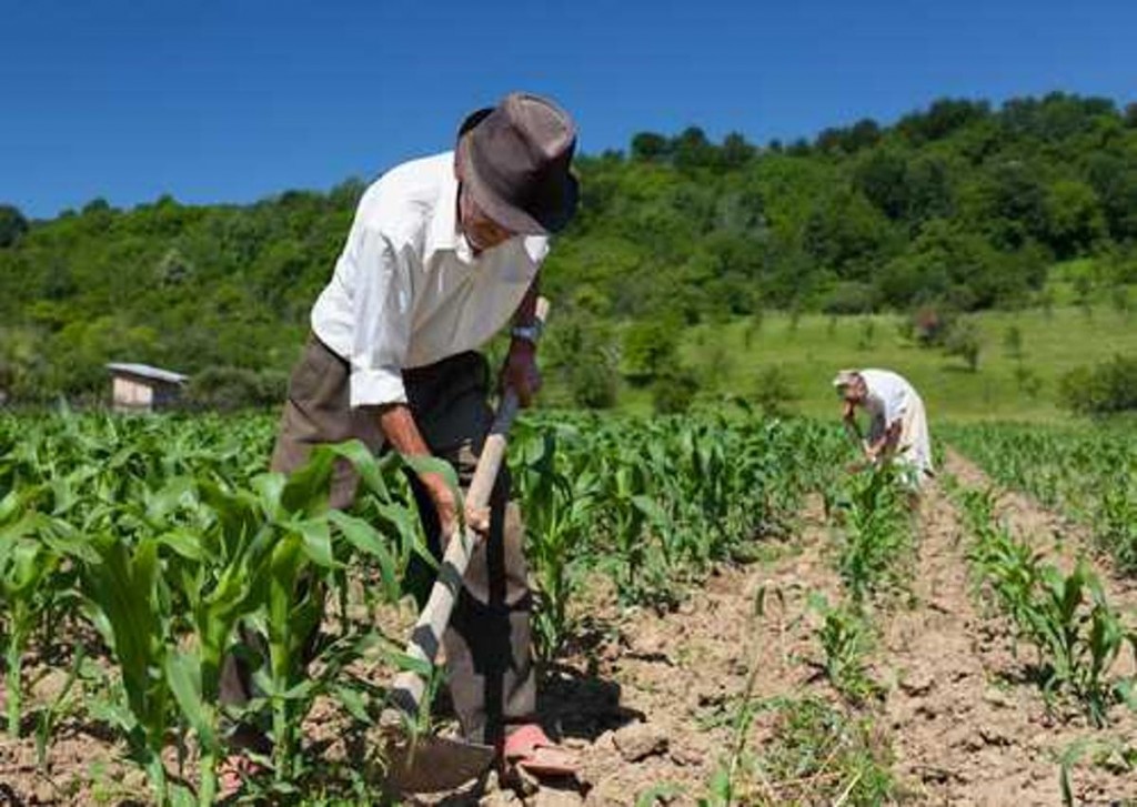 Garantia Safra: lista de agricultores contemplados com o benefício relativo a 2019/2020 está disponível na SEAME