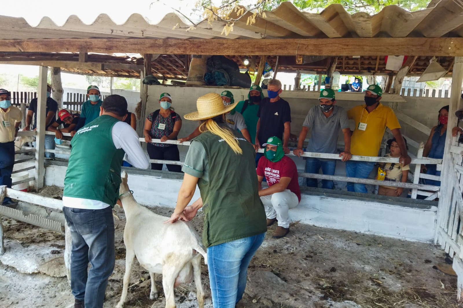 curso-de-manejo-2.jpg