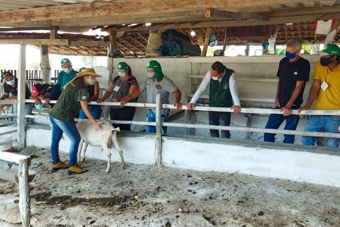 curso-de-manejo-3.jpg