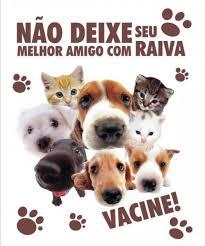 Vigilância Ambiental de Queimadas realiza Dia D de vacinação antirrábica neste sábado