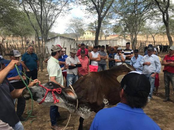 RETROSPECTIVA: investimentos na Agricultura garantiram produtividade e desenvolvimento na zona rural de Queimadas