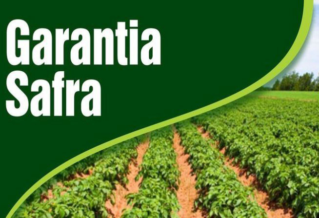 Secretaria de Agricultura e Meio Ambiente realiza cadastro do Garantia Safra até 11 de novembro