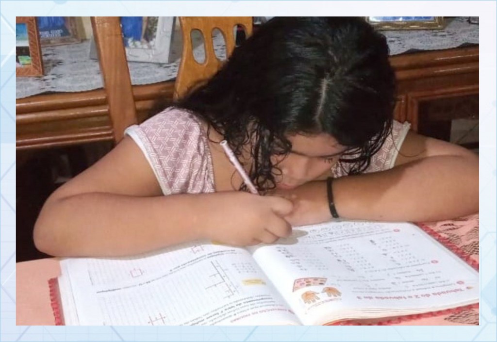 Seduc adota estratégia de ensino à distância para levar o conhecimento para os alunos durante o distanciamento social