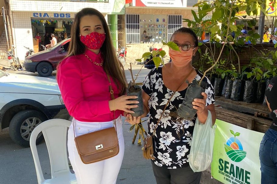Secretaria de Agricultura e Meio Ambiente distribui mudas de árvores para a população